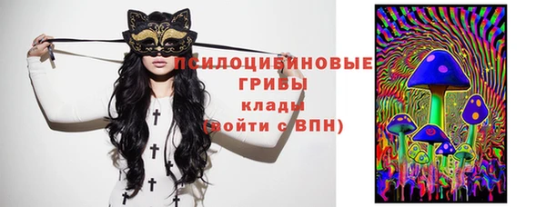 мяу мяу мука Беломорск