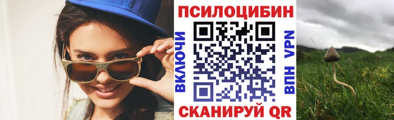 Псилоцибиновые грибы GOLDEN TEACHER  Кремёнки 